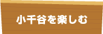 小千谷を楽しむ